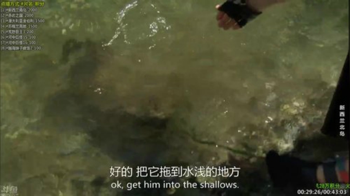 【科普】酷炫你你你的精彩时刻 20201106 19点场