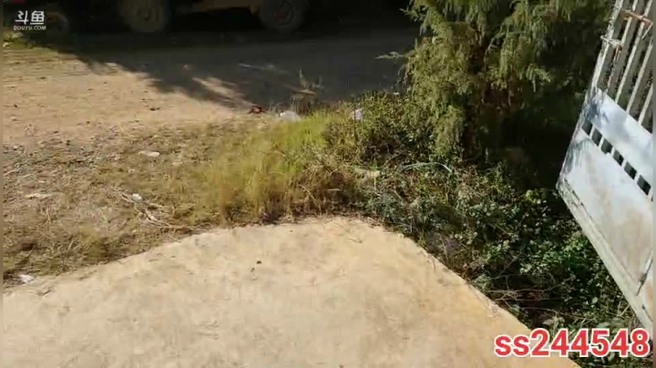 纪实直播:三年之约，西昌 2020-11-07 15点场