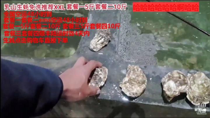 【美食】威海高哥587997的精彩时刻 20201107 12点场