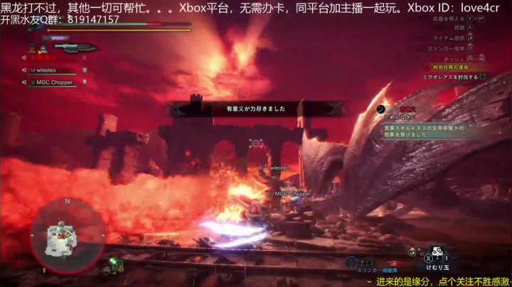 【斩杀】黑龙萌新狩猎 (2)