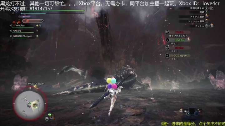 【斩杀】煌黑龙 萌新狩猎