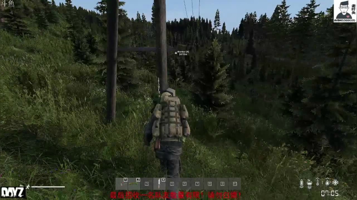 10年DAYZ老玩家新手导师 2020-11-06 15点场