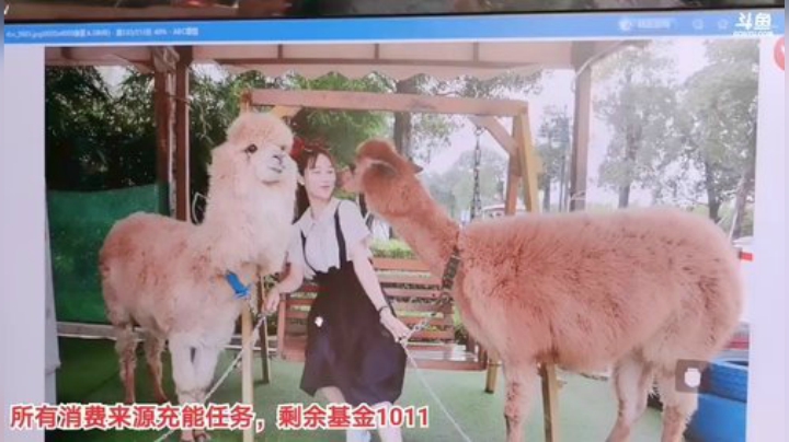 【户外】百变姑姑肖淑洁的精彩时刻 20201108 13点场