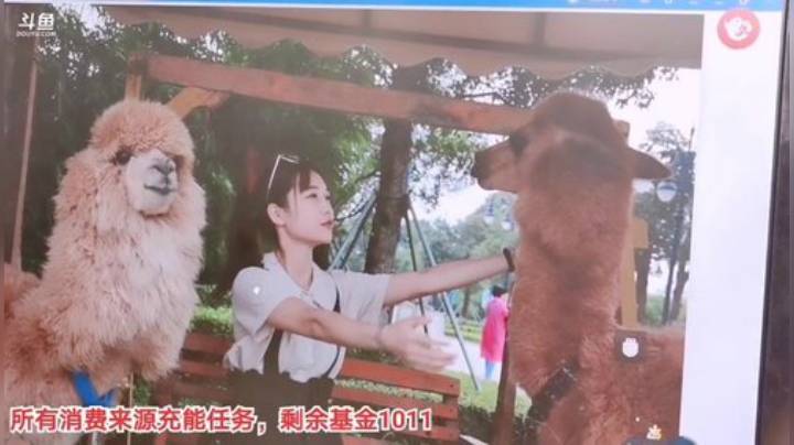 【户外】百变姑姑肖淑洁的精彩时刻 20201108 13点场