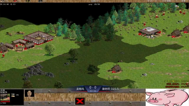 西毒罗马的专业躺赢复兴之路，你懂的 2020-11-05 15点场