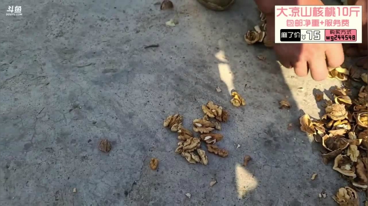 纪实直播:三年之约，西昌 2020-11-08 15点场