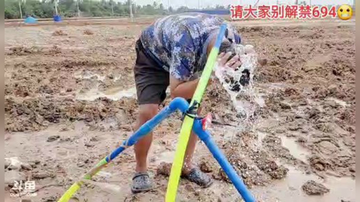 狗强洗头