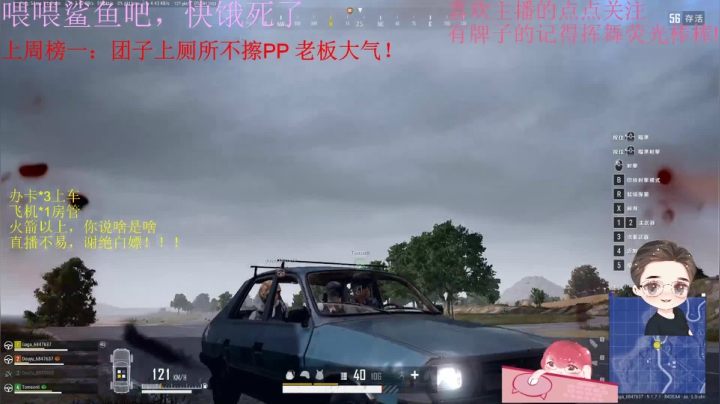 火烈鸟：拉跨崔某人努力打工的一天 2020-11-08 21点场