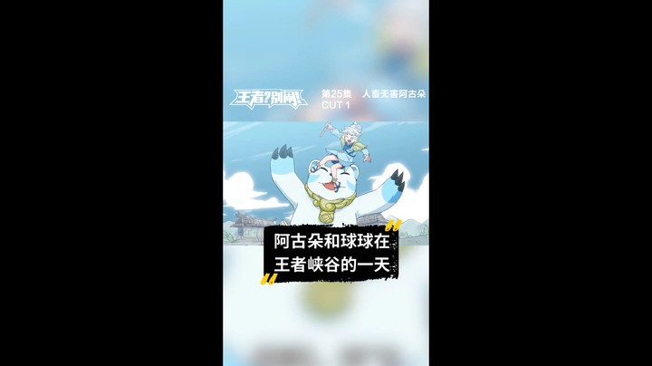 王者系列视频