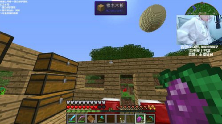 【我的世界】主播蛋白i的精彩时刻 20201110 19点场