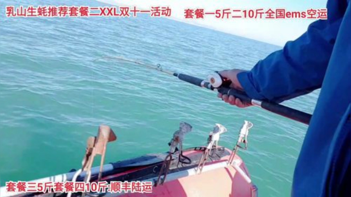 【美食】威海高哥587997的精彩时刻 20201110 10点场