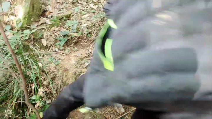 【2020-11-11 13点场】魅力生活i：干锅腊鸭手撕腊鱼蒸香肠