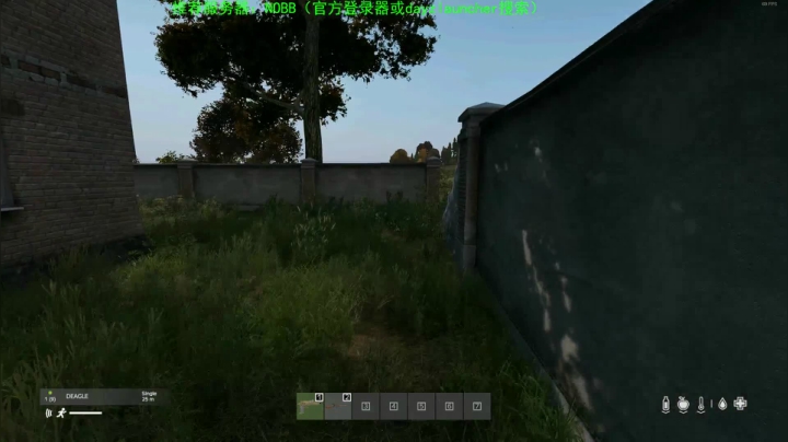 dayz(僵尸末日生存） 2020-11-09 20点场