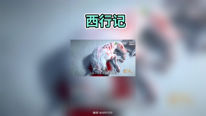 西行记视频
