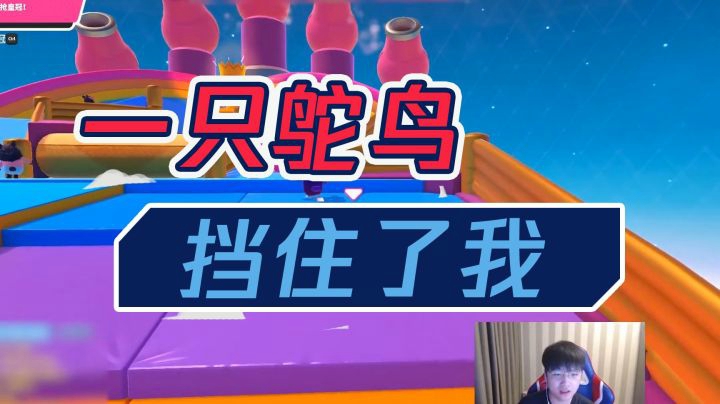 wx的糖豆人：你再骂，你再骂，再骂我拿皇冠了！