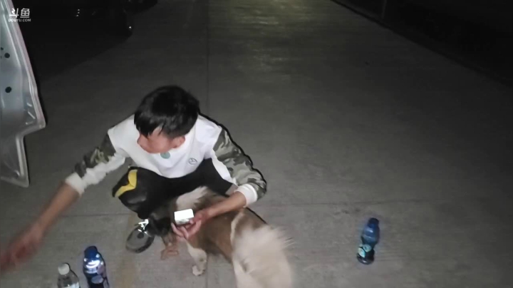 【2020-11-12 20点场】叶子户外：纪实直播：悬崖村再见，返回成都