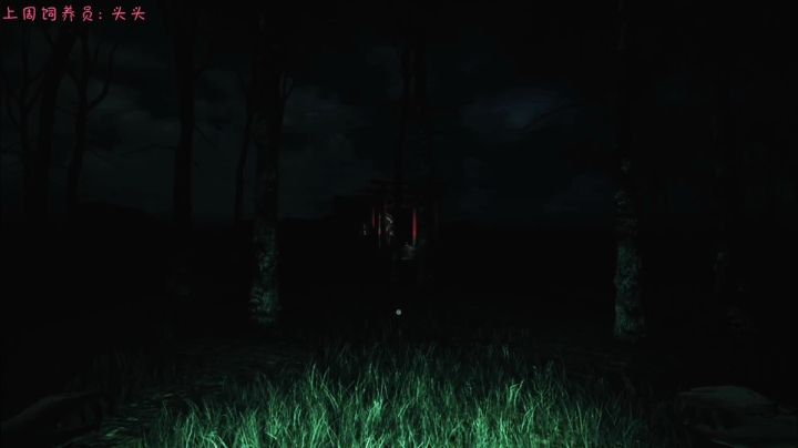 【2020-11-11 20点场】七潇丷：直播,恐怖！悬疑！刺激！