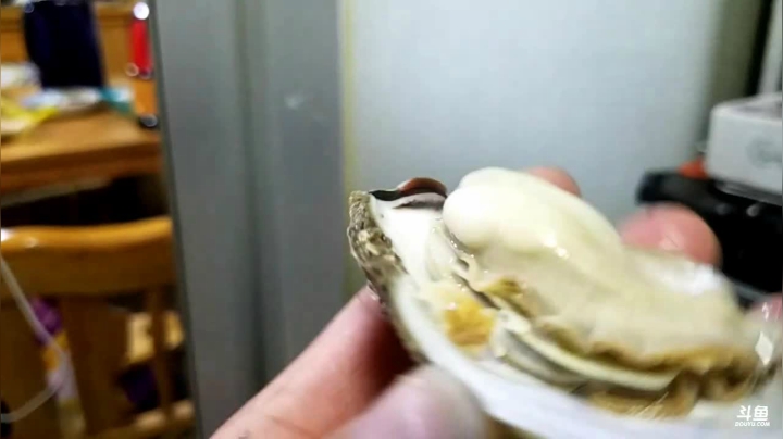 【2020-11-12 22点场】威海大叔：风里雨里，海鲜走起。