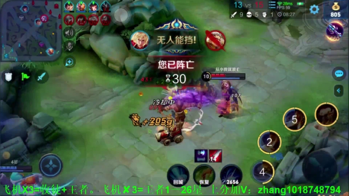 【2020-11-12 21点场】烟花Q烟花：讲武德的国服李信