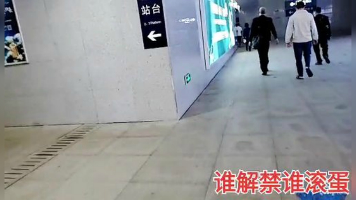 狗强论直播前景