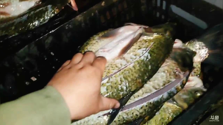 【2020-11-13 17点场】魅力生活i：做腊鱼美食