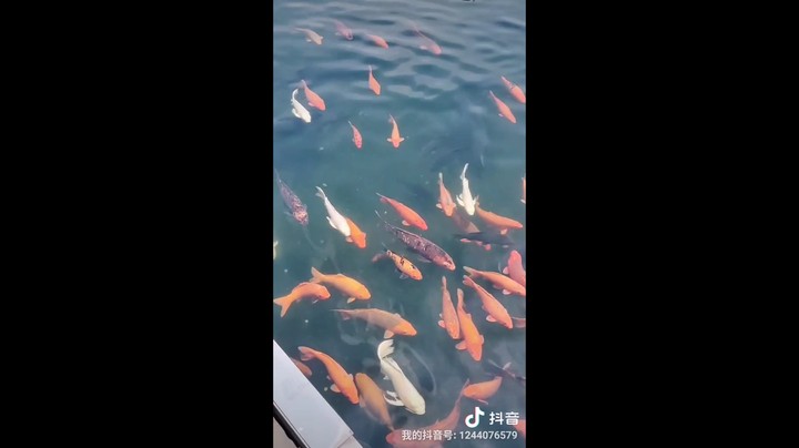 存量视频