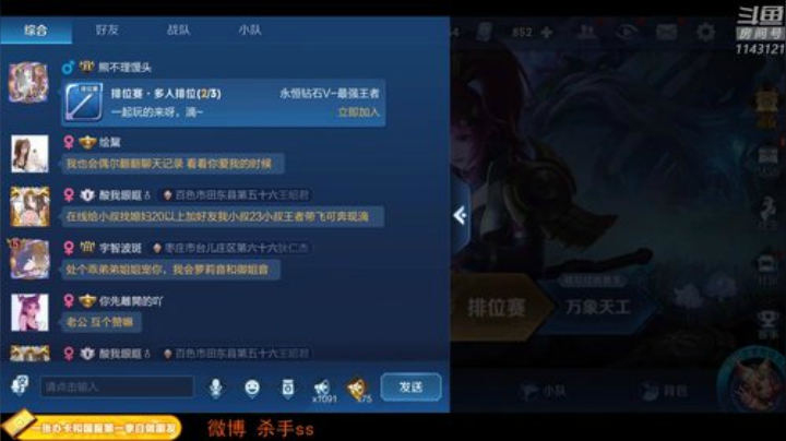 【王者荣耀】不可一世杀手的精彩时刻 20201113 01点场