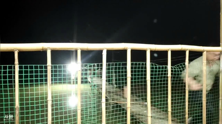 【2020-11-13 21点场】魅力生活i：晚上钓鱼做宵夜