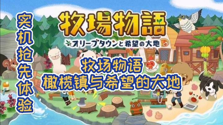 【实机】《牧场物语：橄榄镇与希望的大地》【抢先体验】