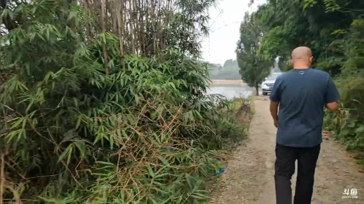 【2020-11-13 15点场】叶子户外：纪实直播：三年之约完结，返回成都路上