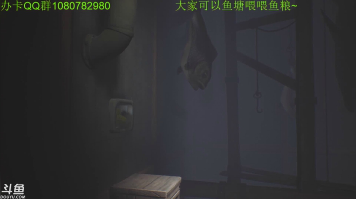 【2020-11-14 02点场】咸鱼超人小D：深夜娱乐时间~