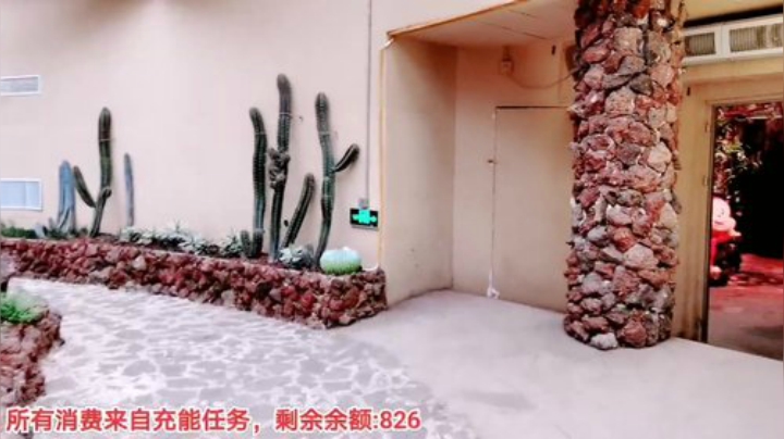 【户外】百变姑姑肖淑洁的精彩时刻 20201114 16点场