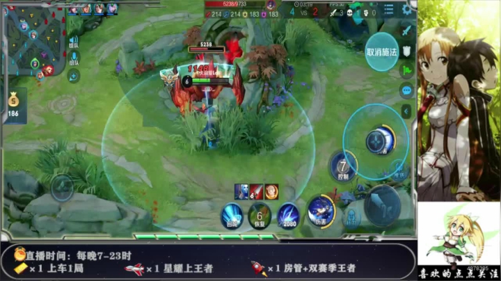 【2020-11-13 20点场】悲S的影子：星耀钻石局，办卡上车