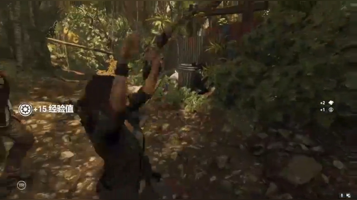 【2020-11-14 21点场】啊城解说：【啊城解说]玩新游戏