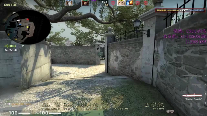 【2020-11-08 20点场】CSGO西瓜：西瓜：CAL上上分丶