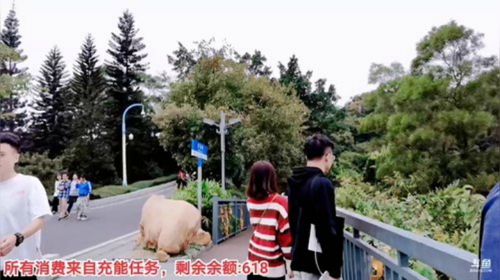 【户外】百变姑姑肖淑洁的精彩时刻 20201115 13点场