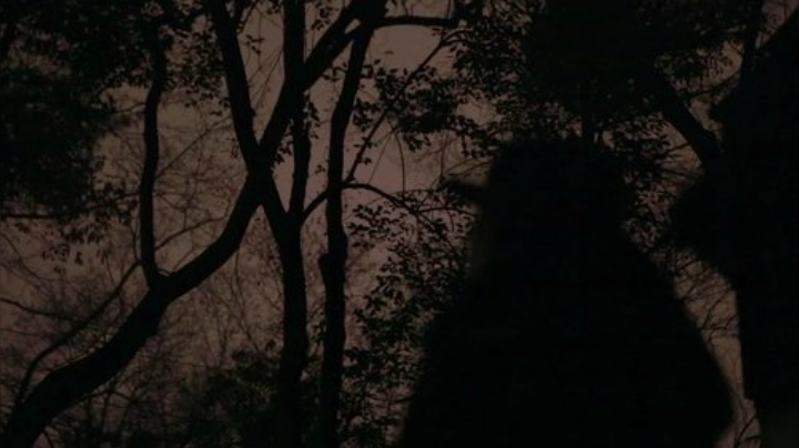 【美食】YESHI小哥的精彩时刻 20201115 11点场