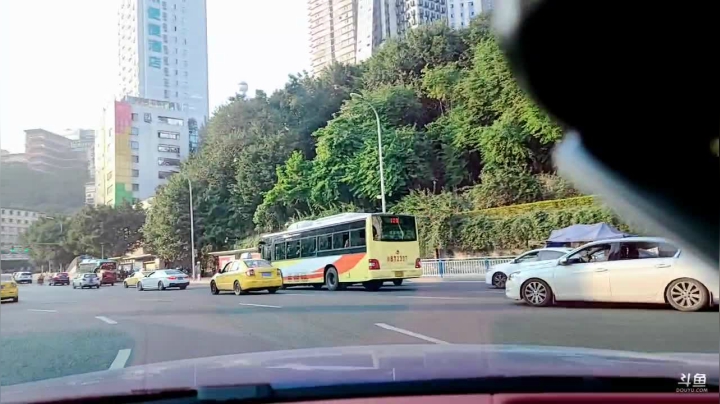 【2020-11-15 16点场】小鱼小鱼吃虾米：去给公司看车，超级粉丝团冲一冲