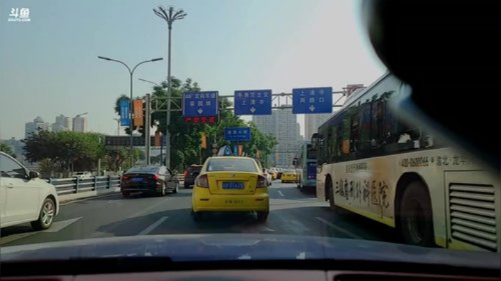 【户外】小鱼小鱼吃虾米的精彩时刻 20201115 15点场