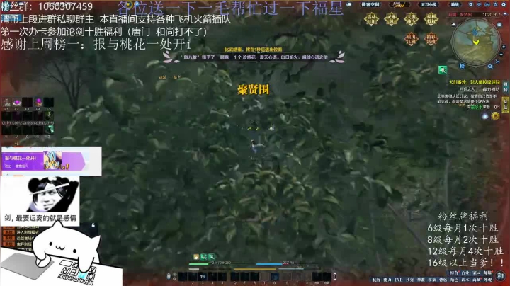 【2020-11-14 02点场】是猫久啊：猫久：赛季末拿红框