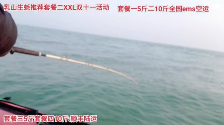 【美食】威海高哥587997的精彩时刻 20201116 07点场