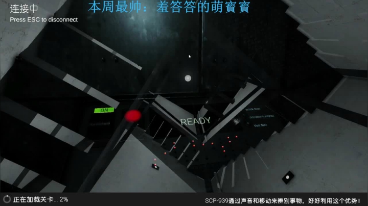 【2020-11-09 23点场】你的小提莫吖：又又又睡迟到了，四点开播到晚上