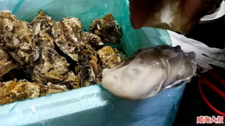 【美食】威海大叔的精彩时刻 20201116 23点场
