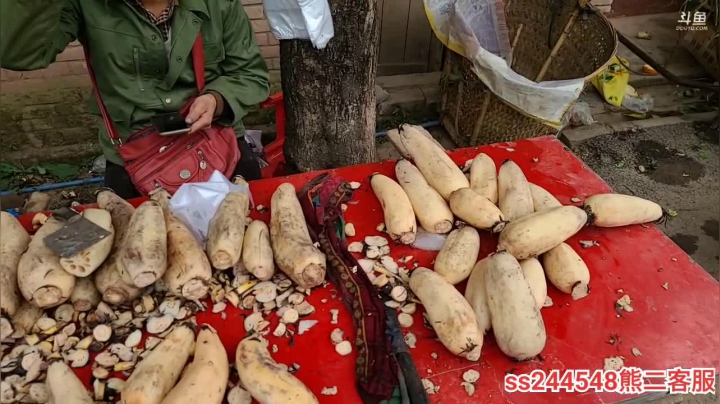 【2020-11-16 10点场】叶子户外：纪实直播：成都在家的第四天