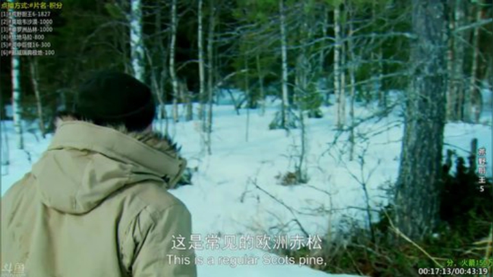 【科普】酷炫你你你的精彩时刻 20201116 22点场