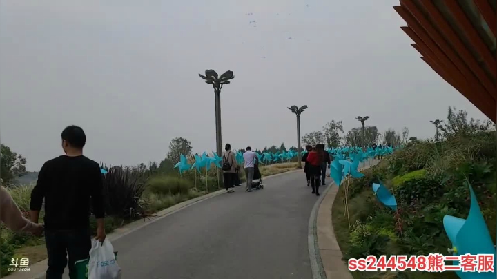 【2020-11-17 13点场】叶子户外：四川成都，直播开始的地方