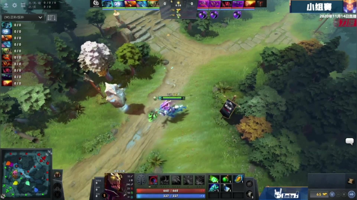 DOTA2职业杯S2 VG vs EHOME BO3 第二场 11.14