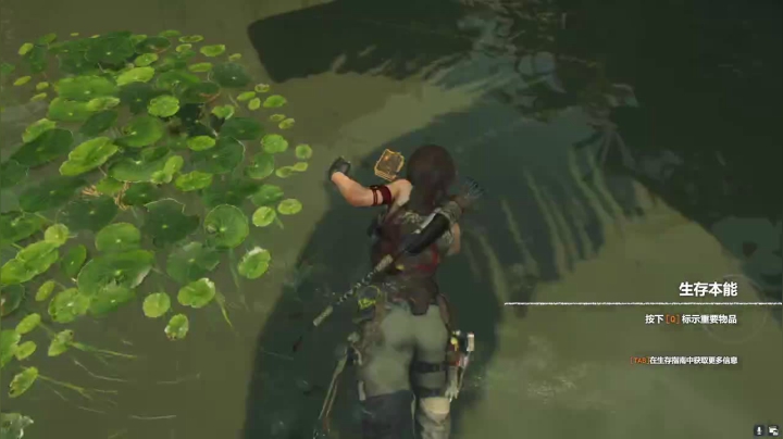 【2020-11-16 23点场】啊城解说：【啊城解说]玩新游戏