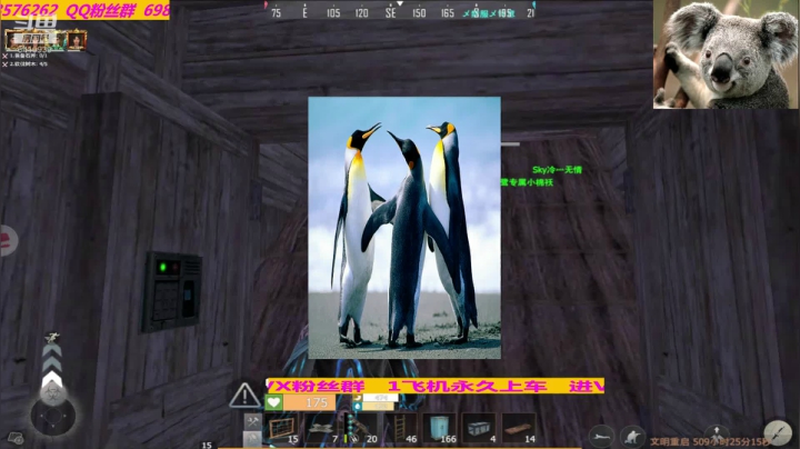 【2020-11-17 12点场】灬点叔灬大伟：❤❤❤家终于被偷了？不容易啊❤❤❤