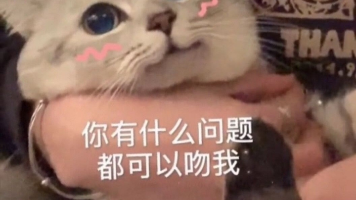 都可以哦
